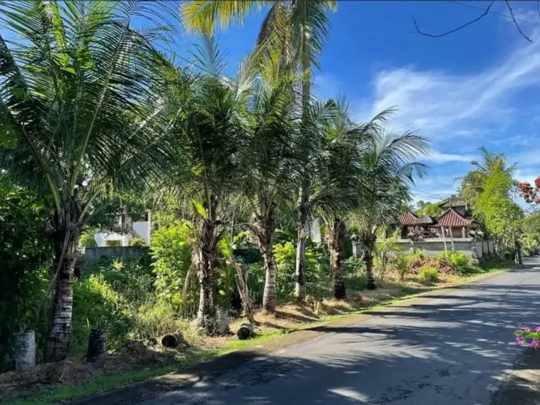 Strategic Land in Desa Wisata Kaba-Kaba For Sale - Image 2 of 10