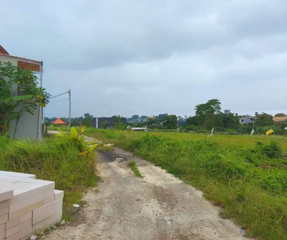 FOR SALE LAND WITH RICE FIELD VIEW AT BERAWA CANGGU - Image 6 of 10