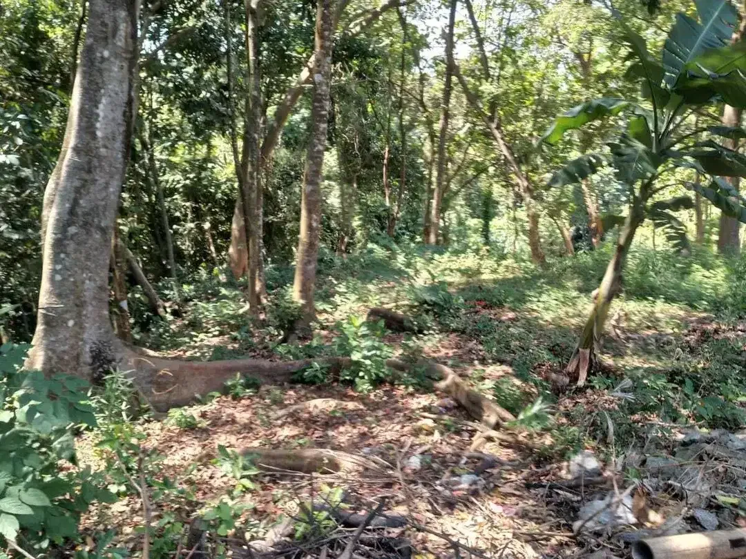 Land for sale in Kaba Kaba, Bali - Image 3 of 6