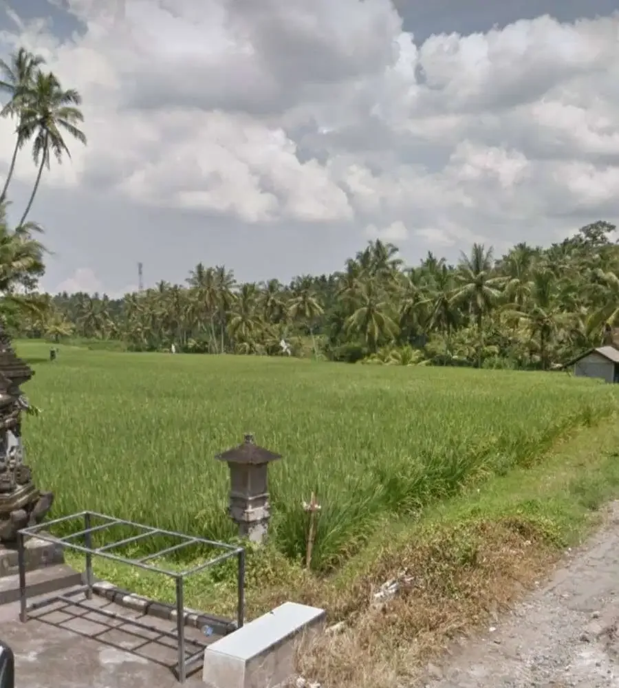 DIJUAL TANAH SAWAH LOS SUNGAI TABANAN - Image 7 of 9