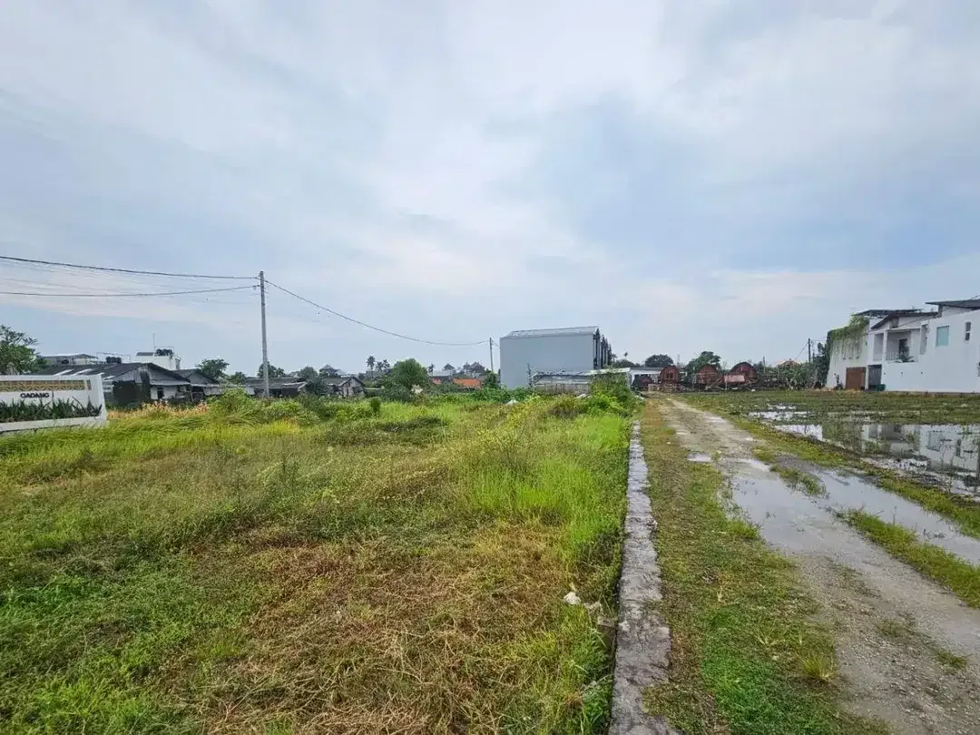 Tanah kedampang kerobokan - Image 7 of 9