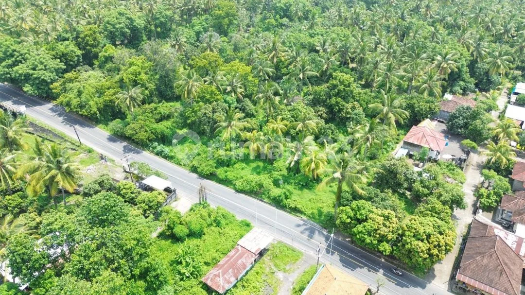 1,59 Hektar Beachfront Pinggir Jalan Utama Pantura Tejakula Bali - Image 3 of 4