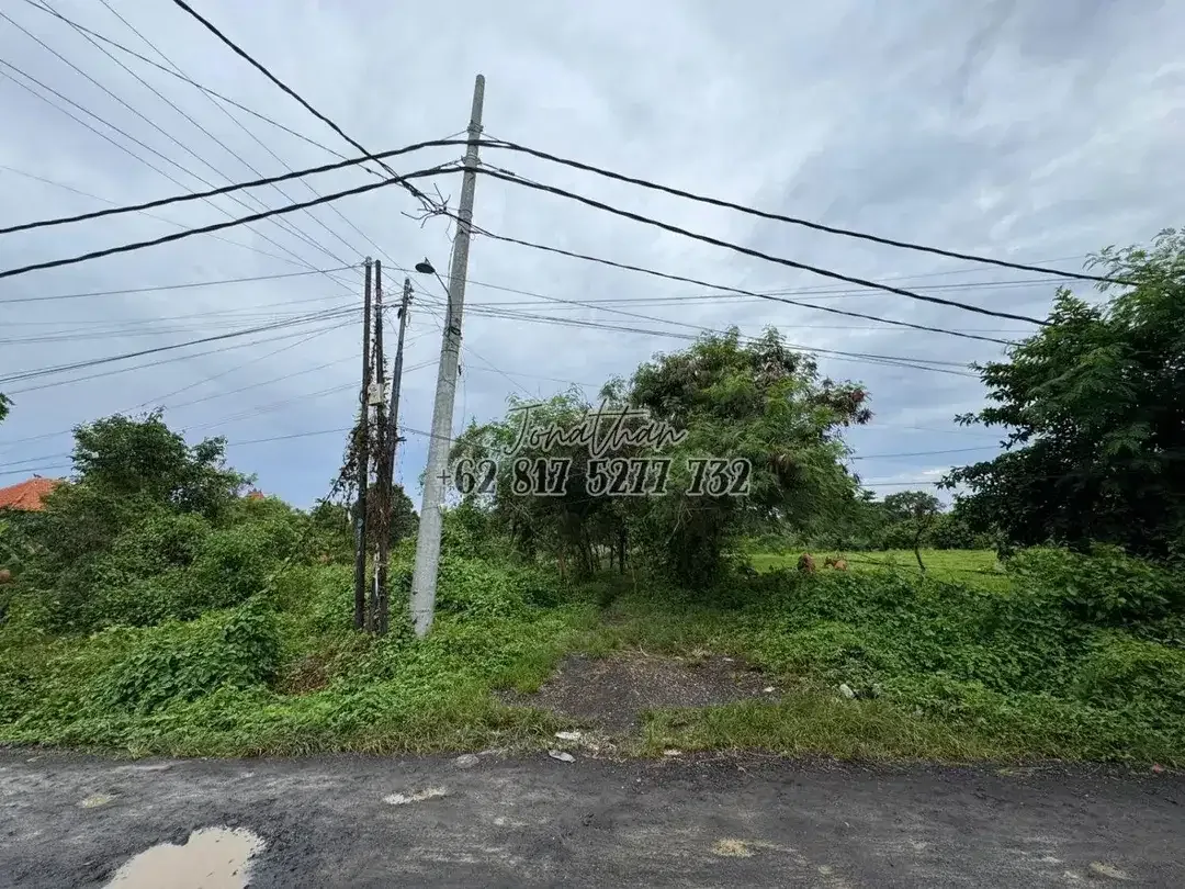 Dijual Tanah Raya Pantai Nyanyi Zona Pariwisata Tabanan - LSADT - Image 3 of 8