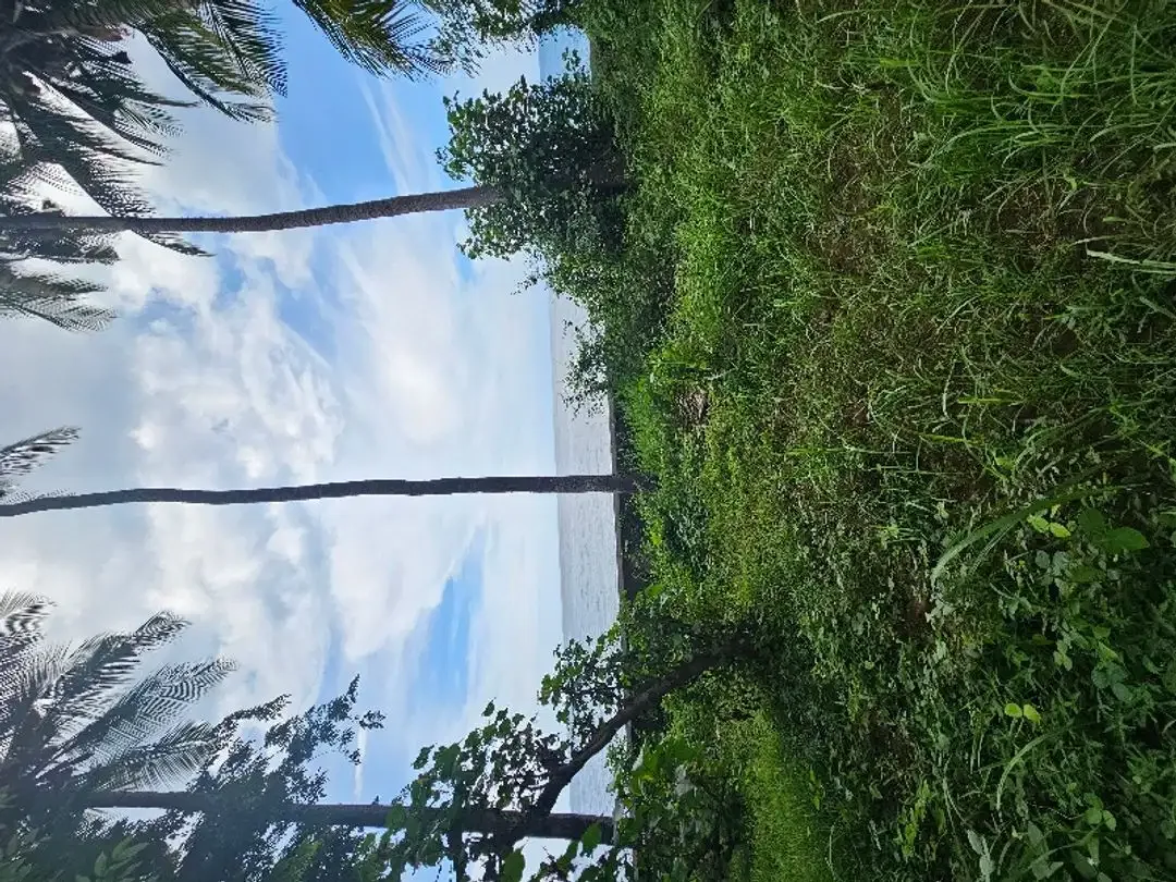 dijual murah tanah pinggir pantai  dekat airport yang akan di bangun - Image 9 of 10