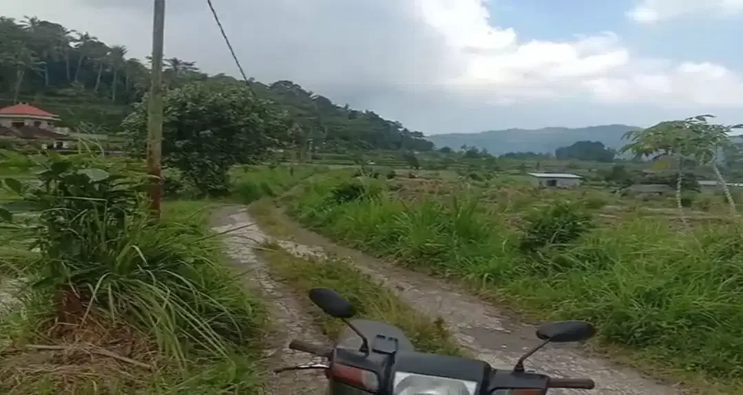 Land 36a for Sale close to Sidemen Traditional Village Bali - Image 7 of 10
