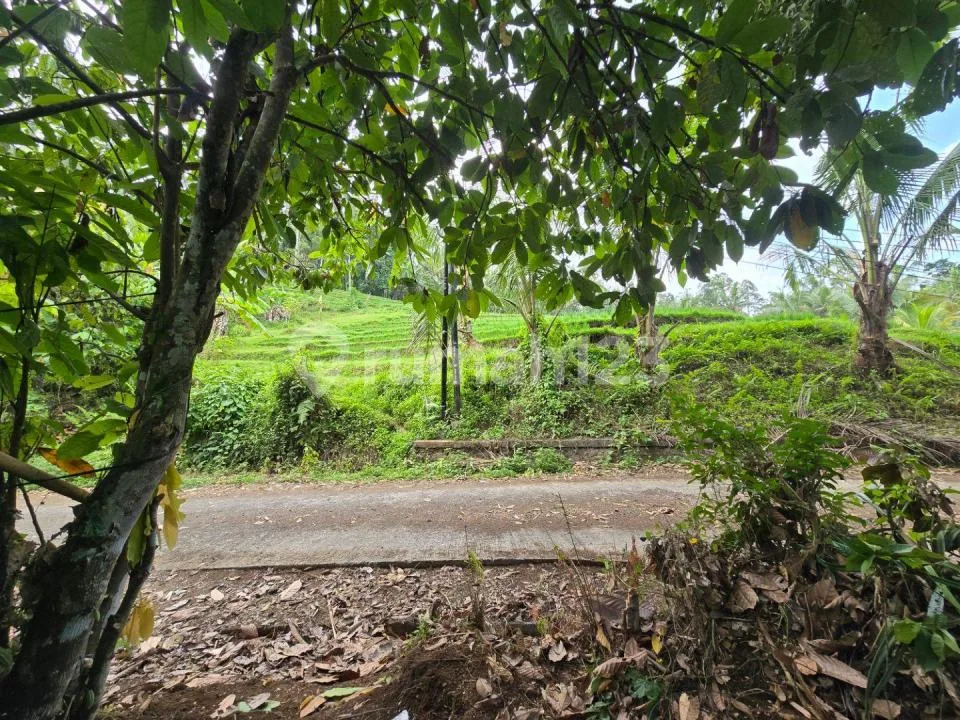 Dijual Tanah Murah Los Sungai Cantik di Tabanan Bali - Image 4 of 4