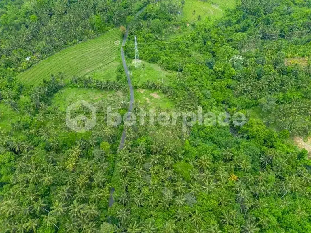 Prestigious 23.9 are Freehold Jungle Land in Balian – A Rare Investment Opportunity Blending Natural Serenity with Coastal Elegance - Image 3 of 10
