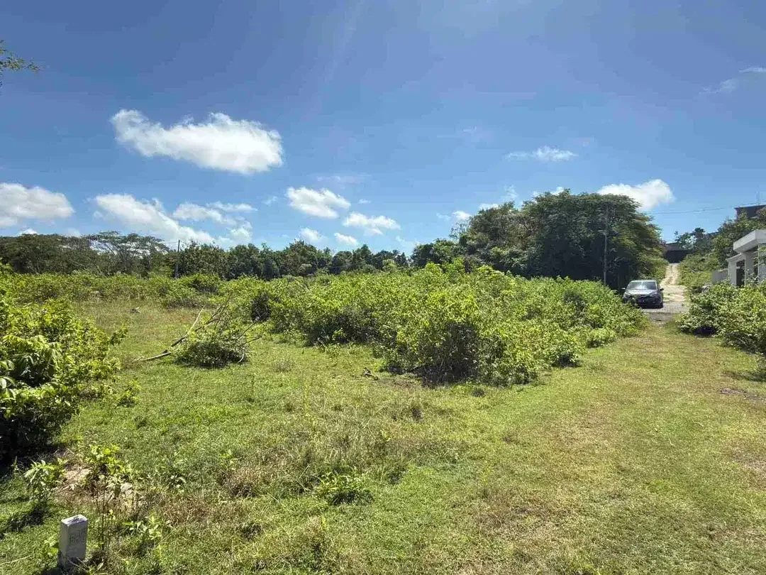 Tanah Nusa Dua Dekat Pantai Bisa Ambil 500 m² - Image 10 of 10