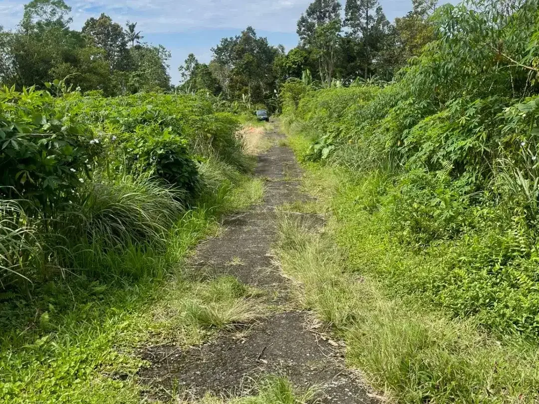 Murah! Tanah Kavling Luas 5,33 Are Dekat Wisata Jatiluwih, Tabanan - Image 1 of 10