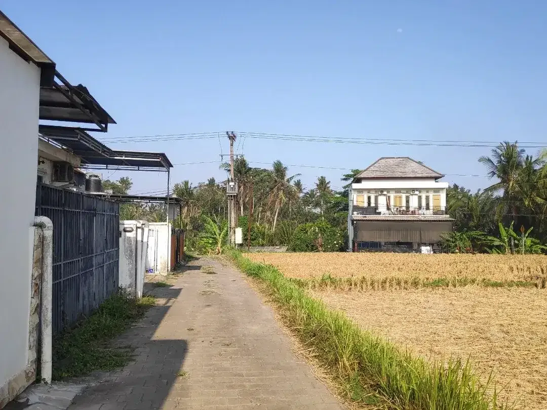 Dijual rumah di Saba, Gianyar. Semi Furnished - Image 7 of 10