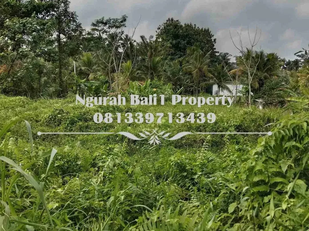 Murah Dijual Tanah Luas 10 Are Kawasan Villa di Ubud Pejeng - Image 5 of 5