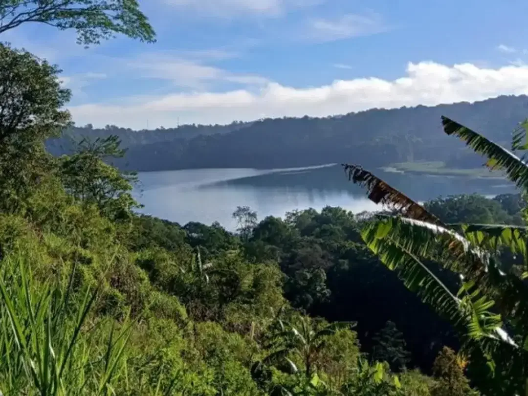 LAND FOR SALE
DANAU TAMBLINGAN – MUNDUK - Image 3 of 10