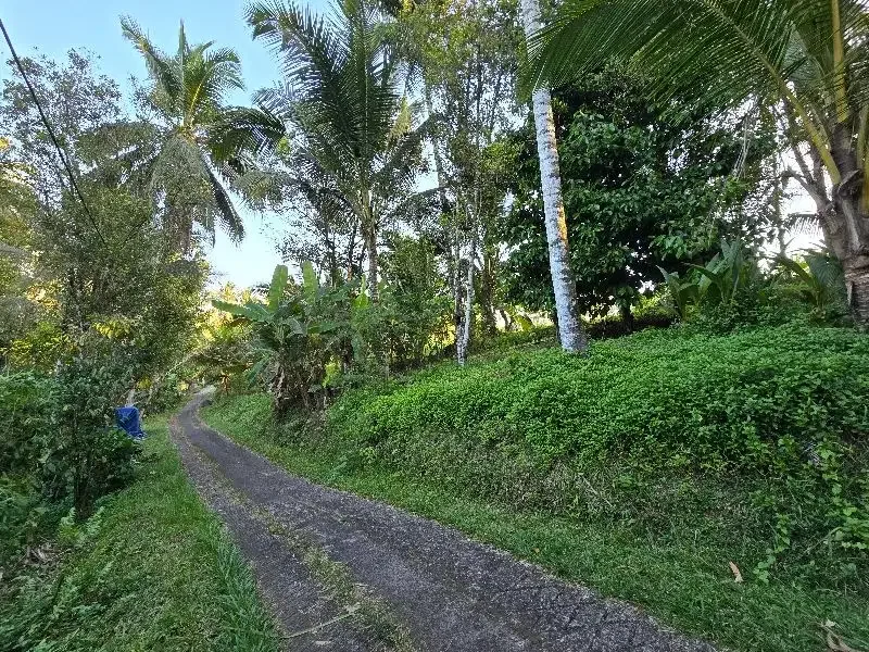 DIJUAL TANAH murah DENGAN VIEW SAWAH cantik dekat villa di bali - Image 7 of 10