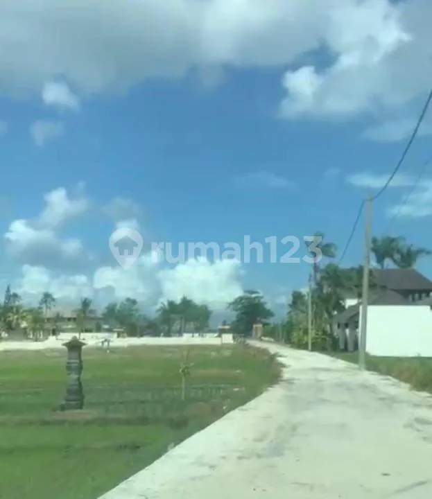 Tanah Strategis Zona Pink Turun Harga Dibawah Pasaran, Tabanan - Image 2 of 4