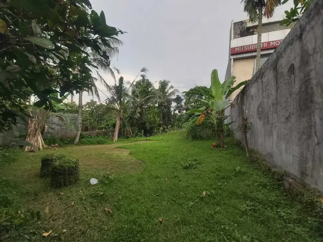 Tanah Zona Kuning di Jalan Utama Denpasar Gilimanuk dekat Astra Megati - Image 3 of 4