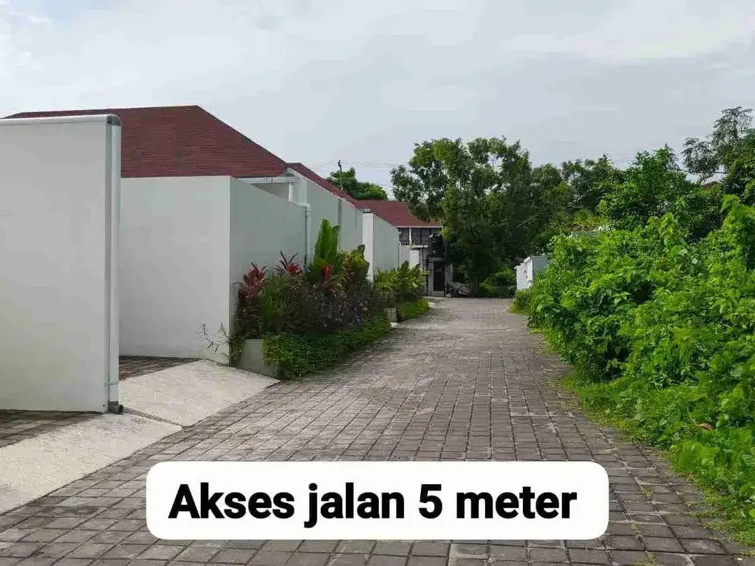 tanah langka sangat cocok di bangun villa dan guest house - Image 6 of 8