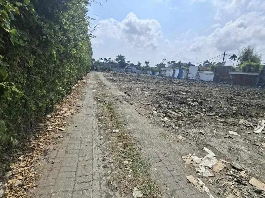 tanah sewa 30 are braban pangkung dari cocok untuk bisnis Anda - Image 5 of 10