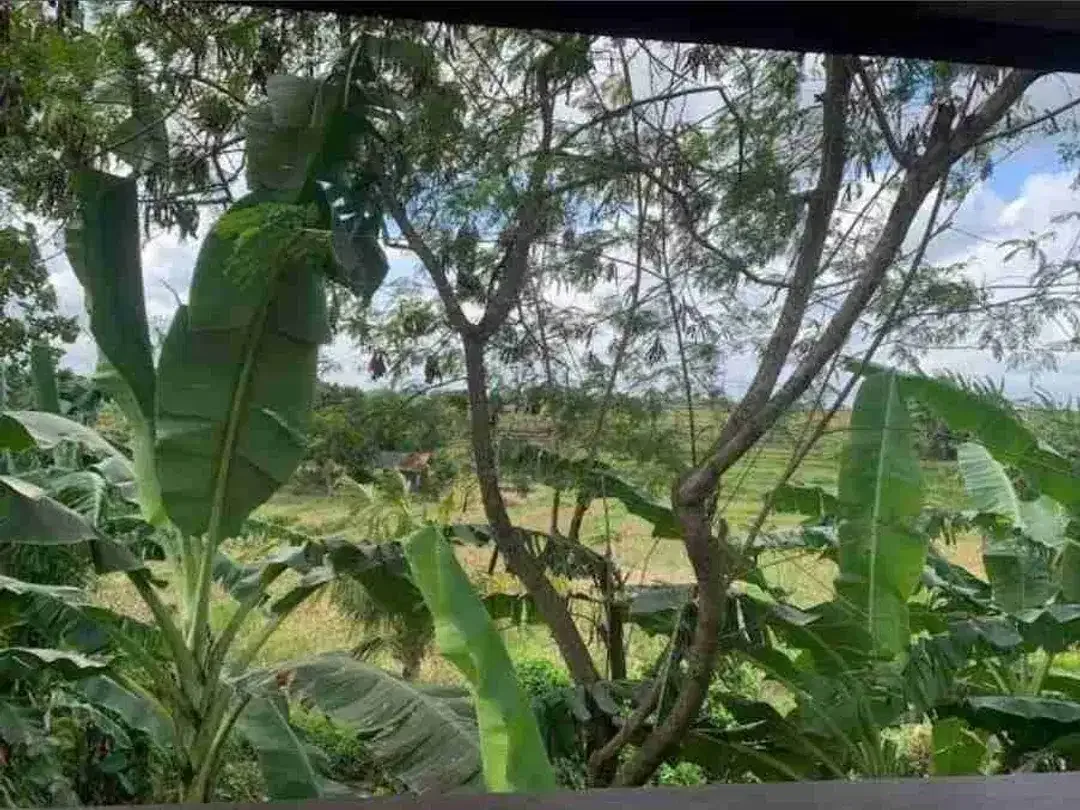 Vila Mewah Gaya Jepang View Sawah di Munggu Bali - Image 7 of 10