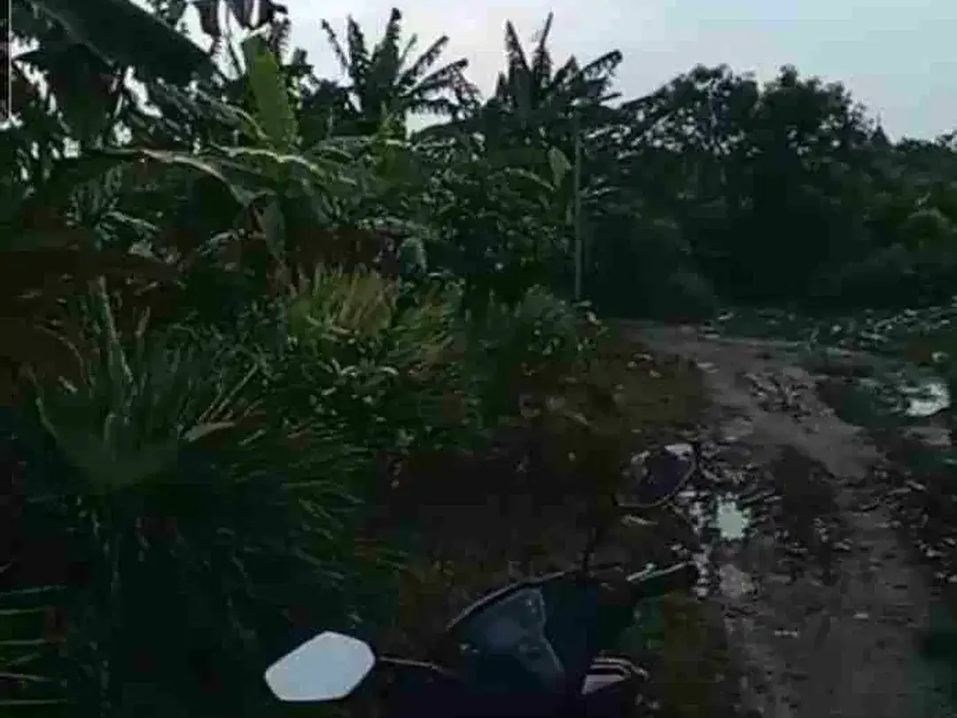 Disewakan Tanah 6a di Jln Cargo Gatsu Barat Denpasar Bali - Image 7 of 10