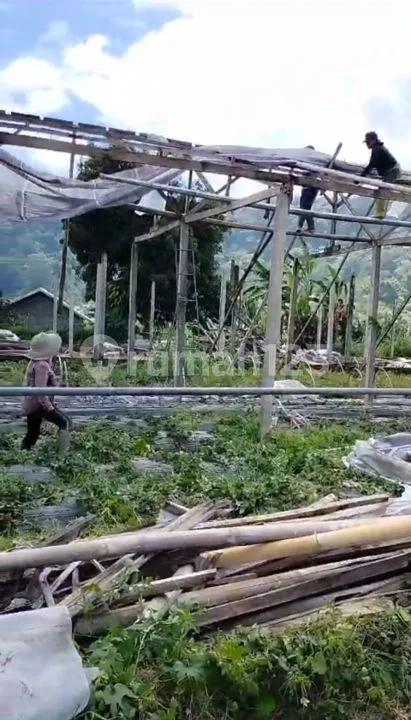 1000m2 siap bangun Villa view Lake Bedugul Buleleng Bali - Image 3 of 4