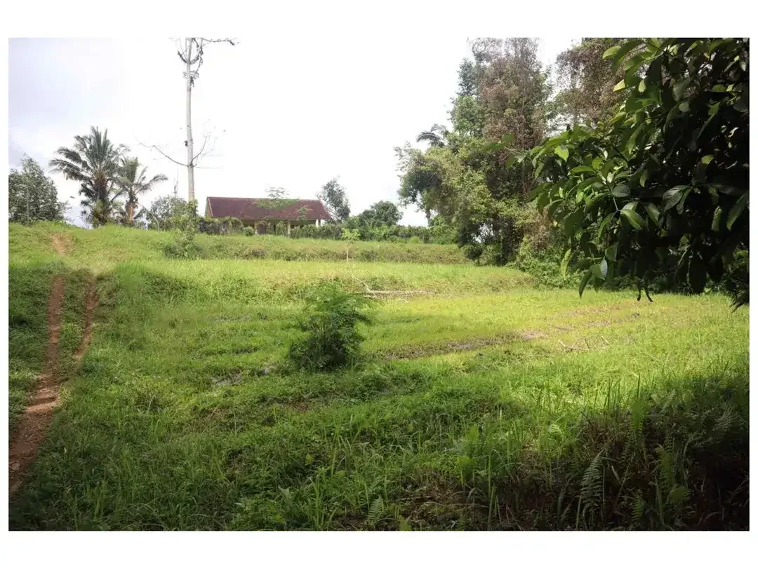Dijual Tanah Strategis di Desa Apuan, Kecamatan Baturiti, Tabanan - Image 7 of 10