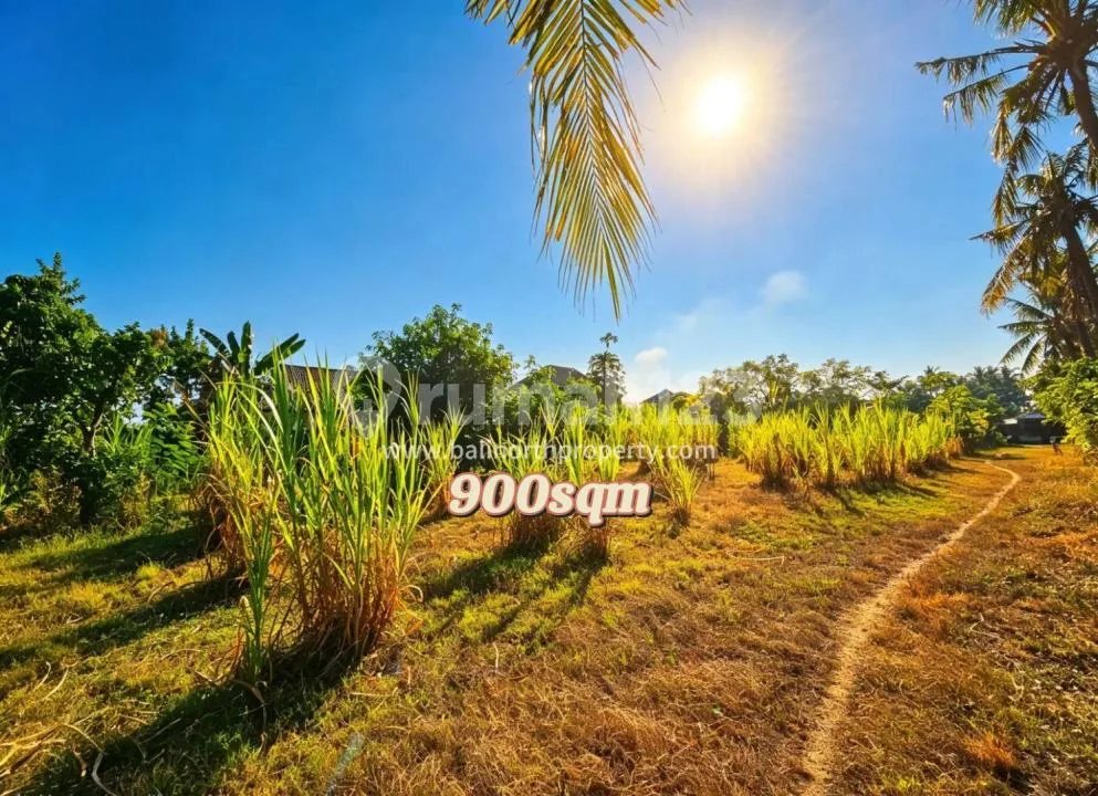 Prime Beachside Land Central Lovina Buleleng Bali Utara - Image 3 of 4