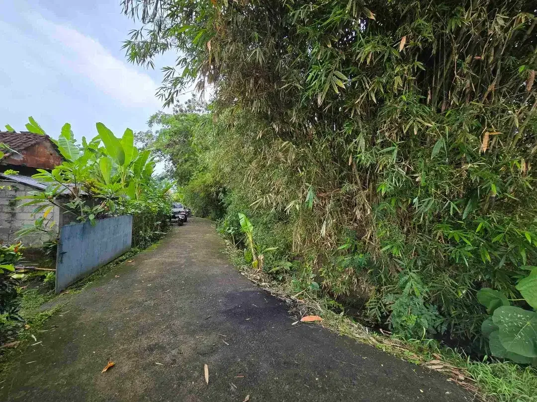 Dijual tanah murah view sawah dekat kota di tabanan bali - Image 7 of 10