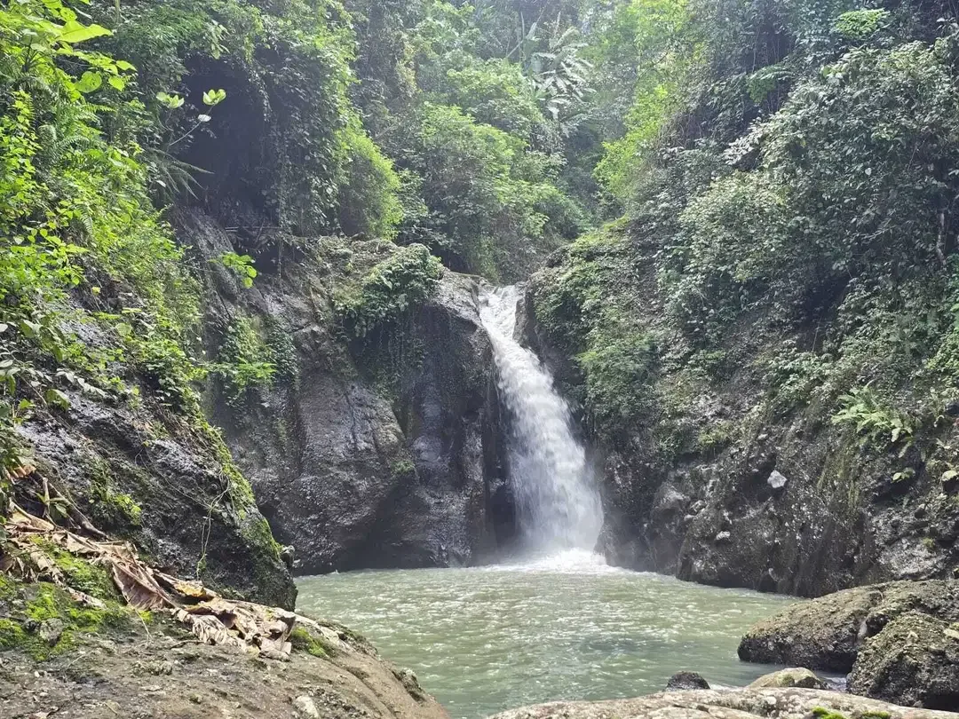 Dijual tanah dengan air terjun dan sungai cantik di bali - Image 1 of 10