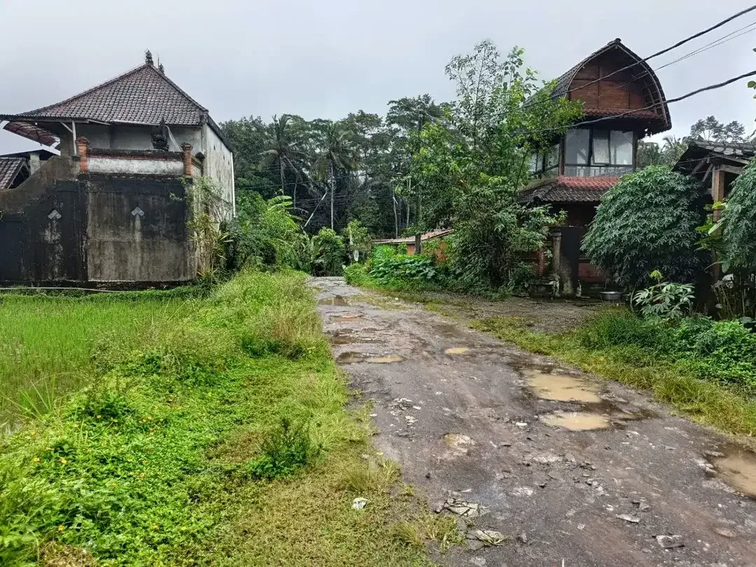 Tanah kavling besar 6,6 Hektar di Payangan, Ubud - Image 3 of 9