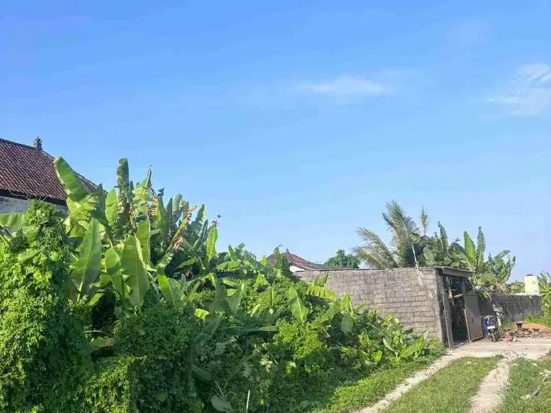 dijual Tanah Plot kecil sangat langka dengan view sawah di Ketewel, Sukawati. - Image 4 of 10