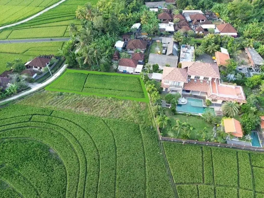 Tanah view sawah pasut tabanan bali - Image 5 of 5
