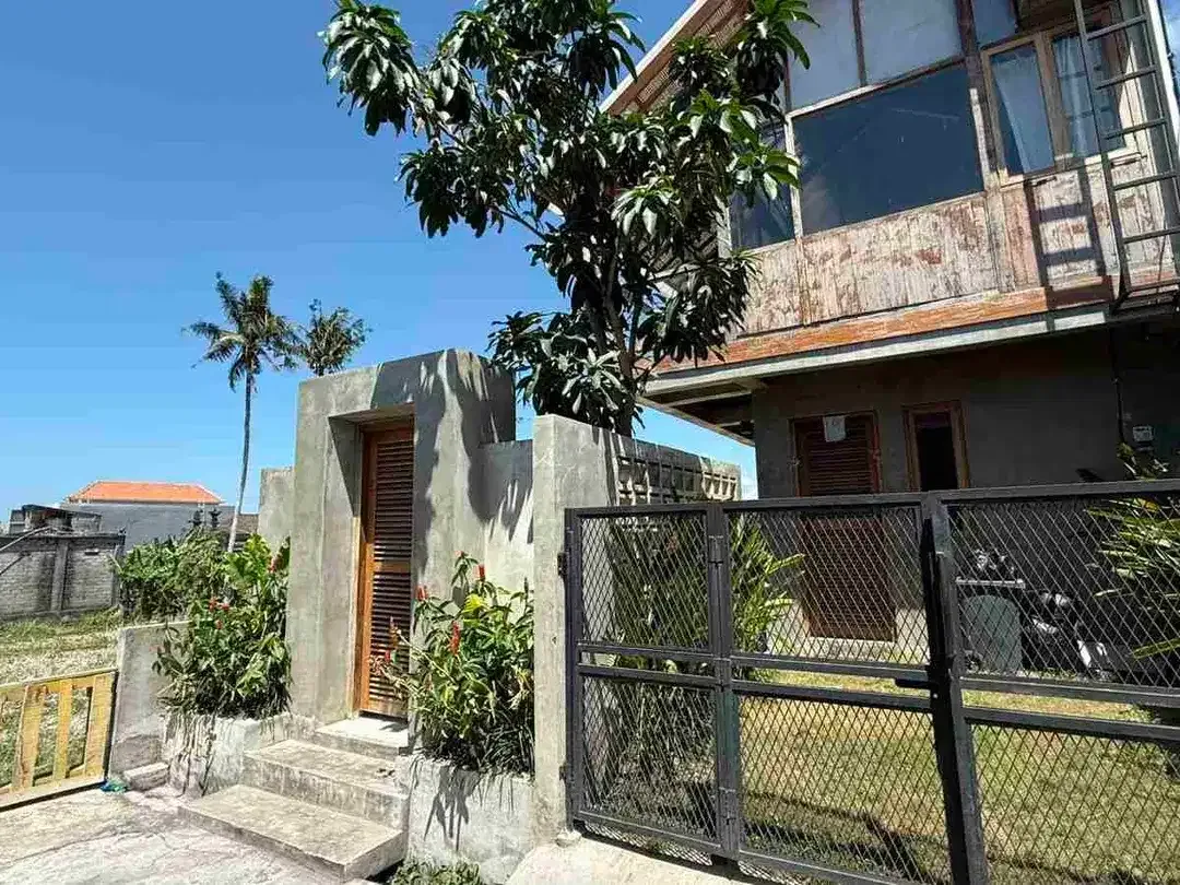 Rumah Tropis Industrial di Batubulan Gianyar - Image 3 of 10