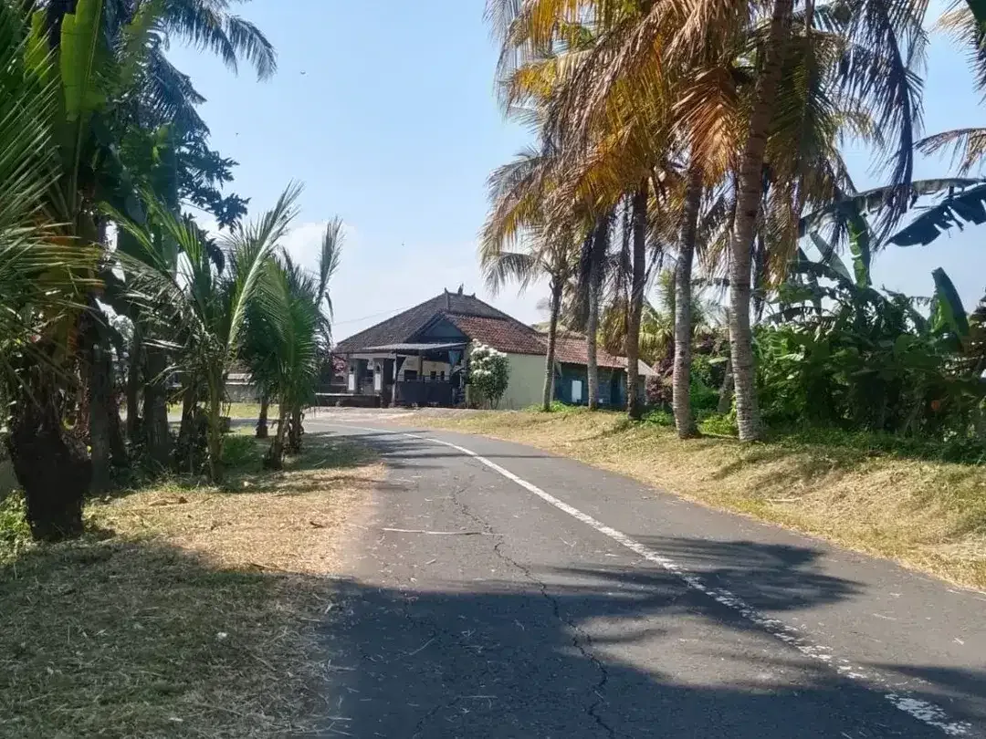 DIJUAL TANAH STRATEGIS – ANTAP, SELEMADEG, TABANAN - Image 7 of 8