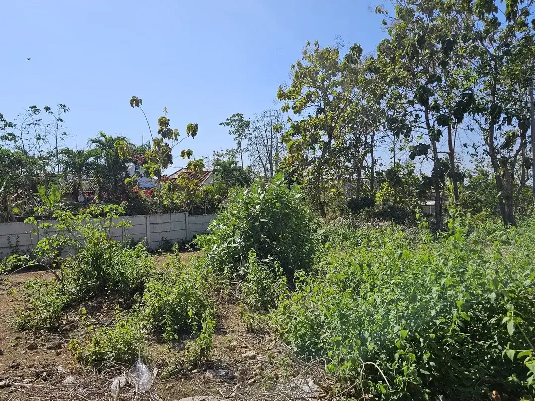 For Sale: Prime Freehold Land in Jaya Sari, Jimbaran, Bali - Image 8 of 8