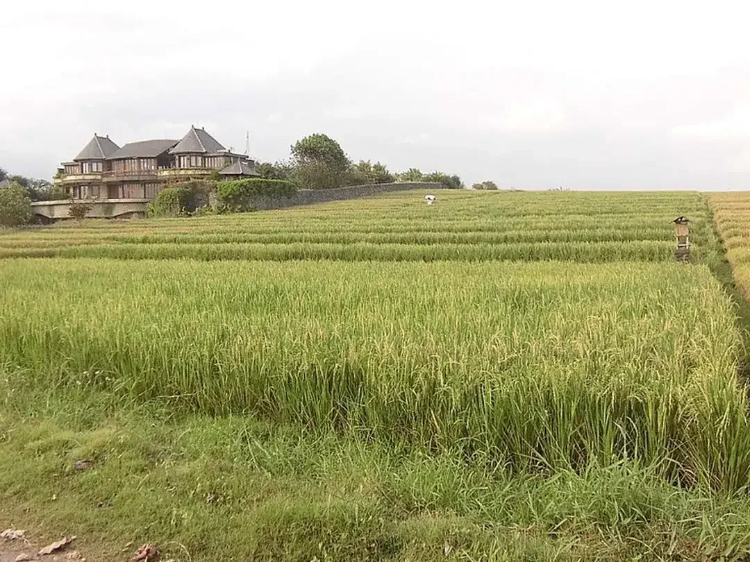 Land 5180 Sqm Beach Front In Tabanan - Image 3 of 7