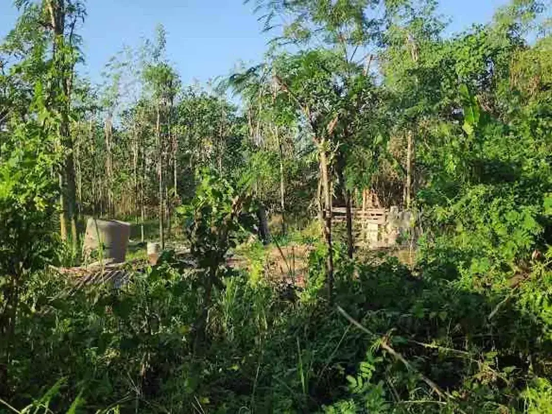 Dijual tanah kavling berlokasi di Jimbaran Bawah - Image 10 of 10
