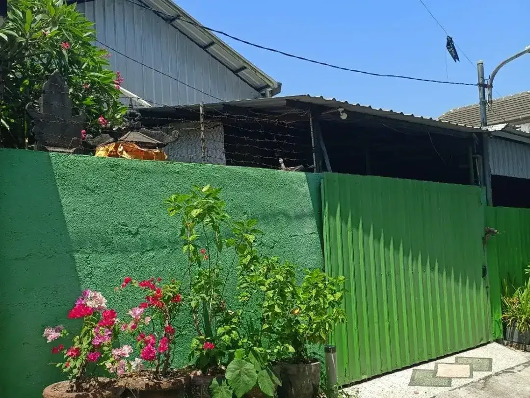 Di jual Tanah Lokasi jln Siulan Penatih  Luas Tanah 4 are - Image 3 of 6