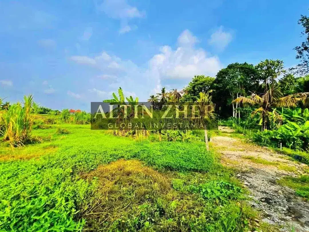 Tanah view sawah berlokasi di Kediri Tabanan dekat dengan pantai nyanyi - Image 9 of 10
