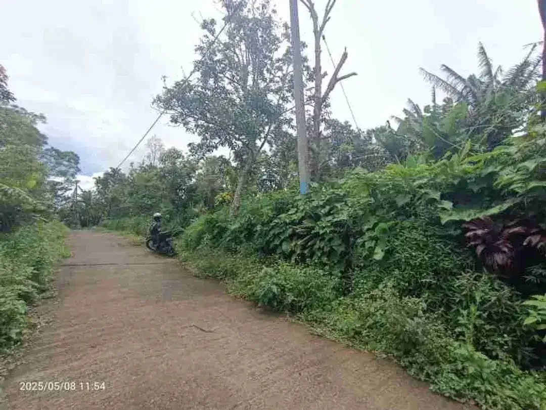 Land in Wanagiri Singaraja near Altavista Bali Mountain Villa - Image 1 of 5