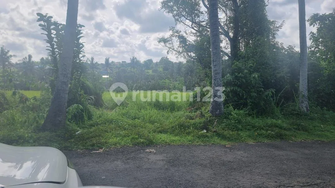 Tanah Jual Lokasi Sukawati - Image 2 of 4