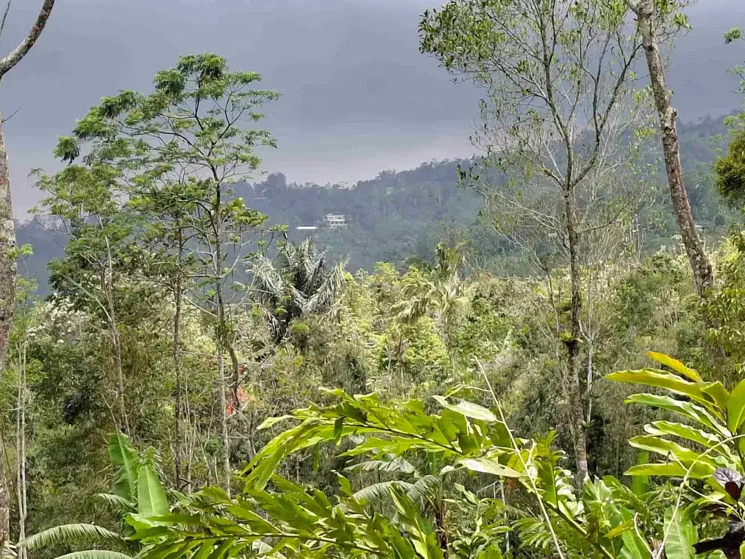 dijual tanah view laut dan perbukitan di wisata unesco jatiluih - Image 5 of 10