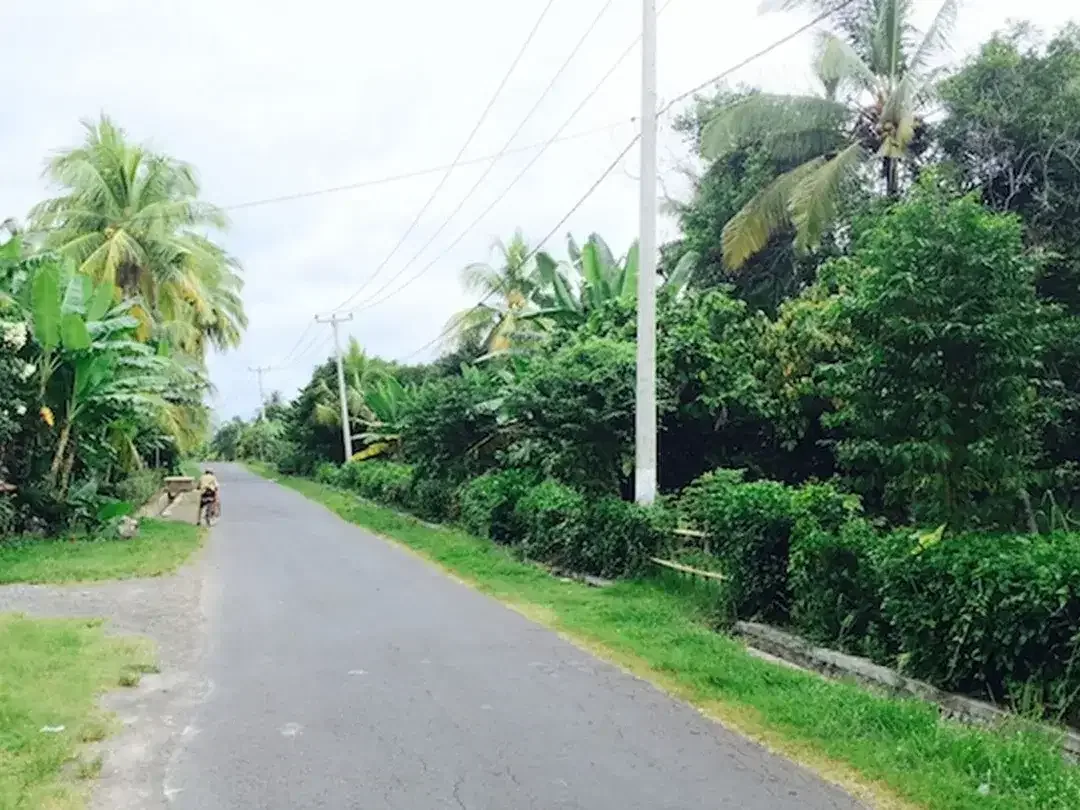 Amazing 37,915 Sqm Beachfront Freehold Land In Jembrana Negara - Image 5 of 10