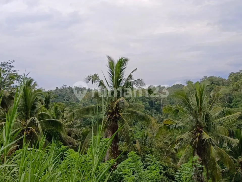 Freehold/Dijual Tanah Los Sungai Wos, - Image 2 of 4