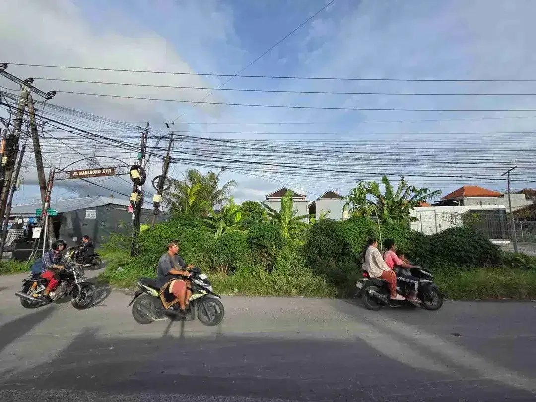 Tanah - Image 5 of 10