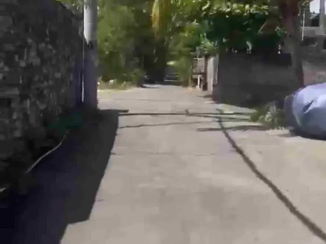 dijual tanah 6,62 are IDR 1,5 milyar per are dipantai suluban Pecatu Badung Bali - Image 7 of 9