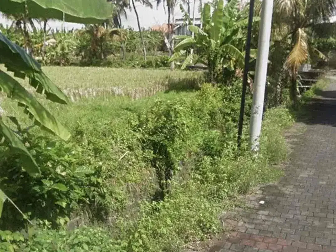 Dijual Tanah Strategis Jalan Sukawati Gianyar - Image 2 of 7