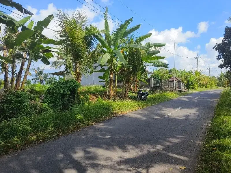 Dijual tanah murah los  sungai bebatuan dan view sawah ddi bali. - Image 10 of 10