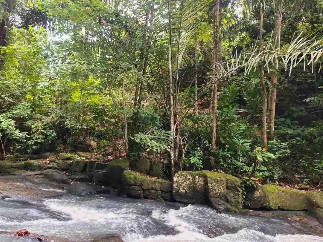 jual tanah kebun view air terjun kawasan villa di tabanan bali. - Image 5 of 10