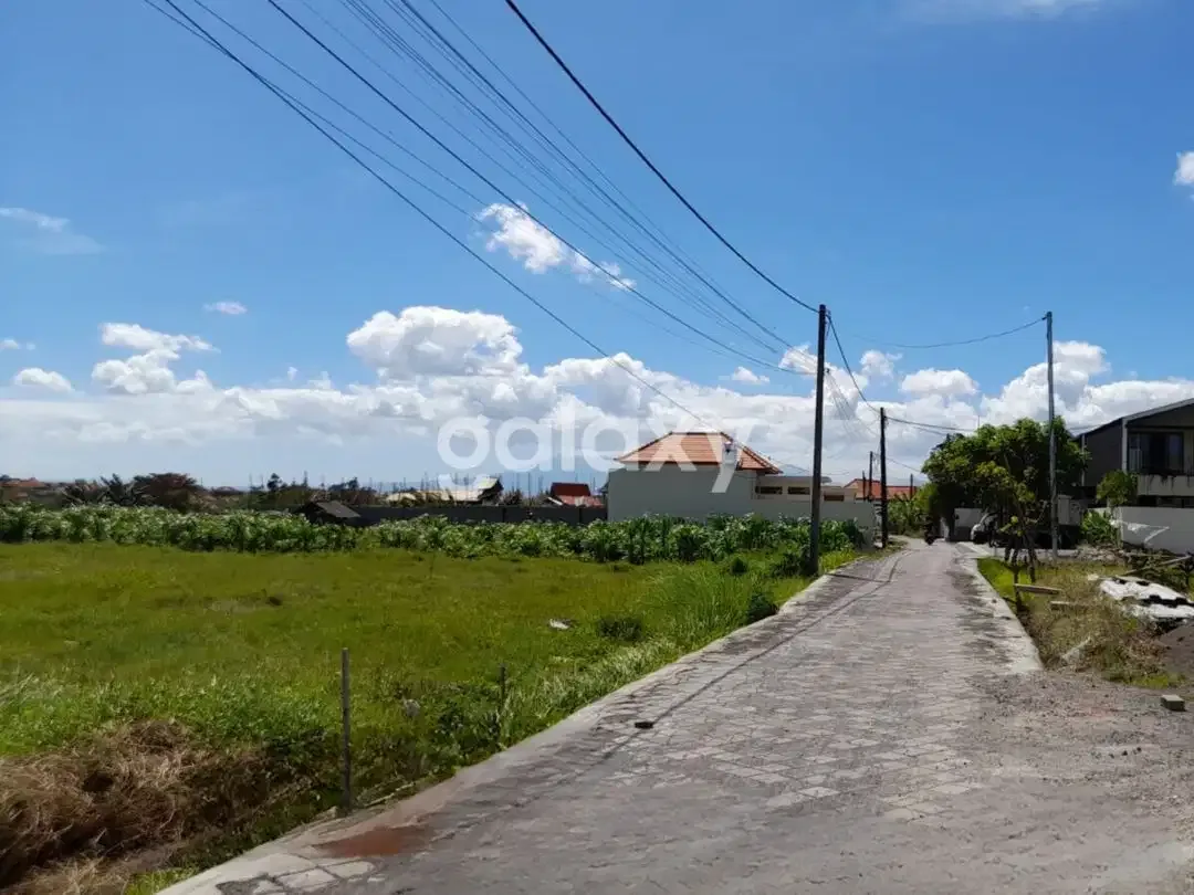 TANAH VIEW SAWAH DI CANGGU BADUNG, BALI - Image 5 of 6