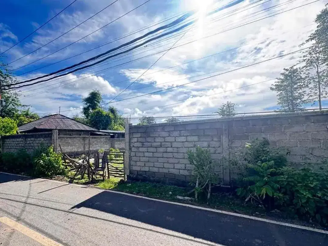 HOT DEAL! di sewakan Tanah 15 Are Jalan Utama Balangan - Image 7 of 9